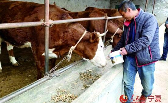 ���Ĺ�ԭ�����˵��Ҹ����ţ������