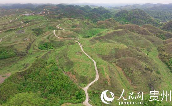 ���ݴ󷽣���ɽ�塰���μǡ�