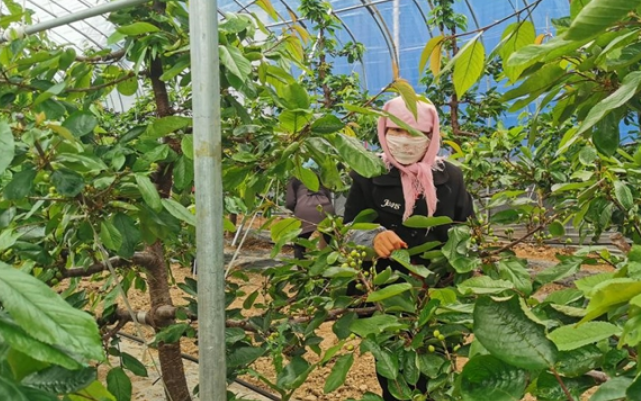 ����ʡ��ˮ���żҴ�����ɽ�����Ӵ�������ڲ鿴ӣ�ҵ��������