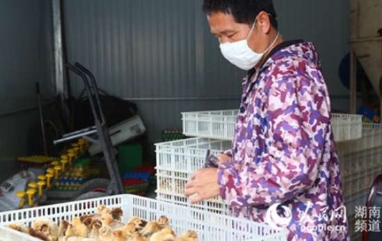 ���Ͻ�ͯɽ�壺���ľ��� ��������������