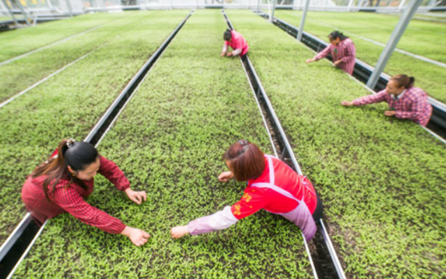 ���أ�������˷�չ������ҵ����ƶ��Ⱥ���ڼ��ſھ�ҵ 