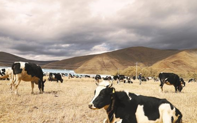 ¡����������ţ��׼����ֳ��