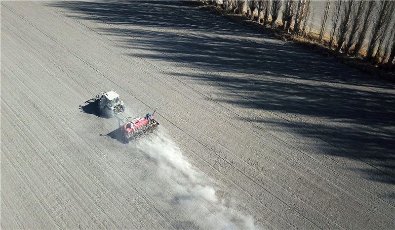 ���ŵڶ�ʦ��ʮһ������ְ���ڲ��ִ�С��