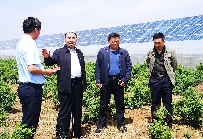 �����е������������