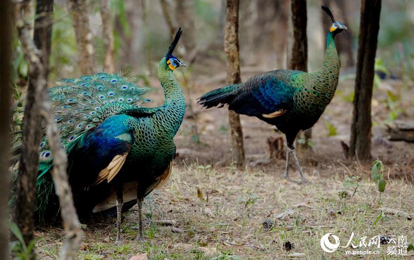 �̿�ȸ��������