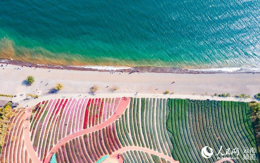 ���ɺ�����ʪ�ع�԰һ�ǡ������� �������