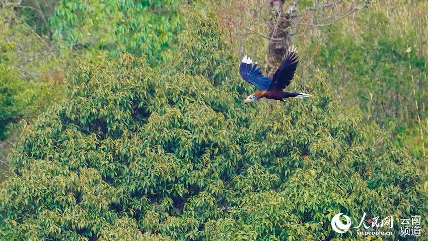 �κ�����