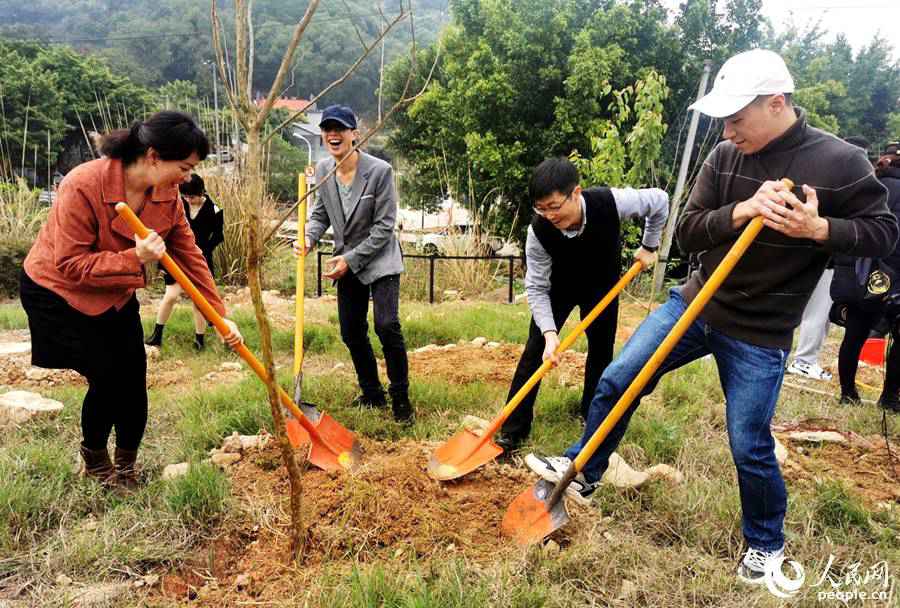 ֲ���ڵ��죬�ڸ�����β��10��������ͥ��16������̨������ֲ����