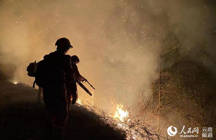 ������������ɽ��ɭ���������ӽ��˾ȡ����ϡ���һ�����������