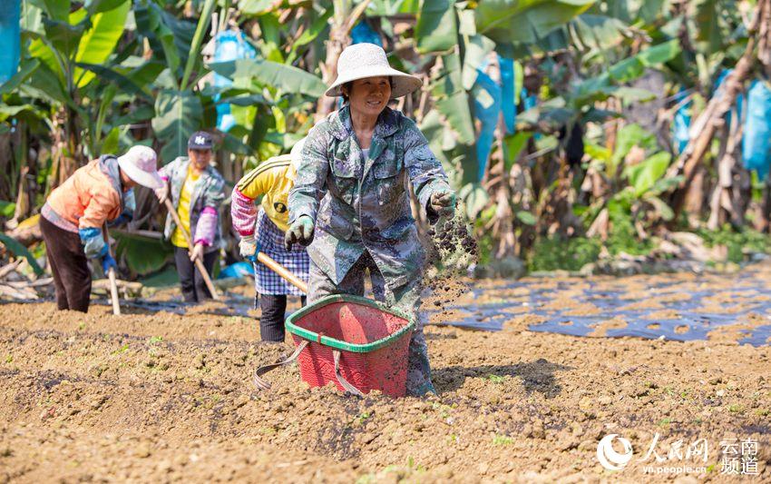 ����������ħ�������� �������