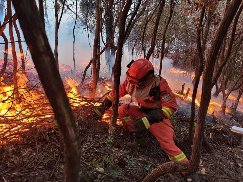 ������Ա�����˻𡣷��ϡ���һ�����������
