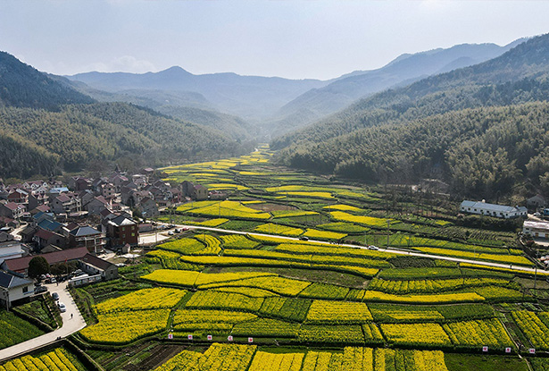 �������� �Ͳ˻���