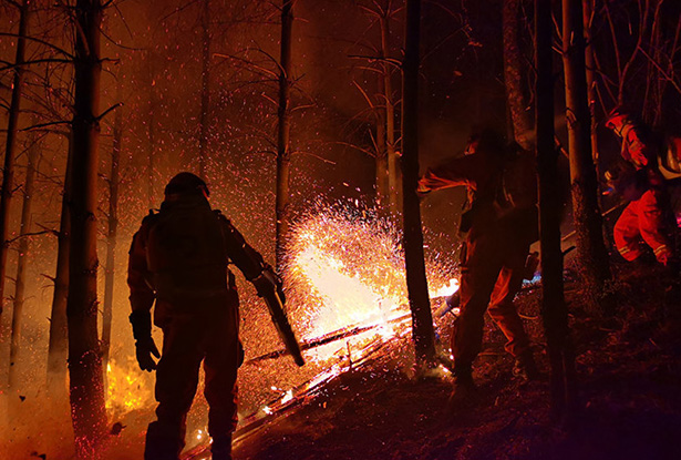 ������������ɽ�� ����������ȫ������