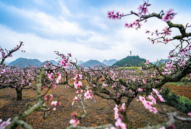 �������֣���Ķ�һ���俪��������ͼ��