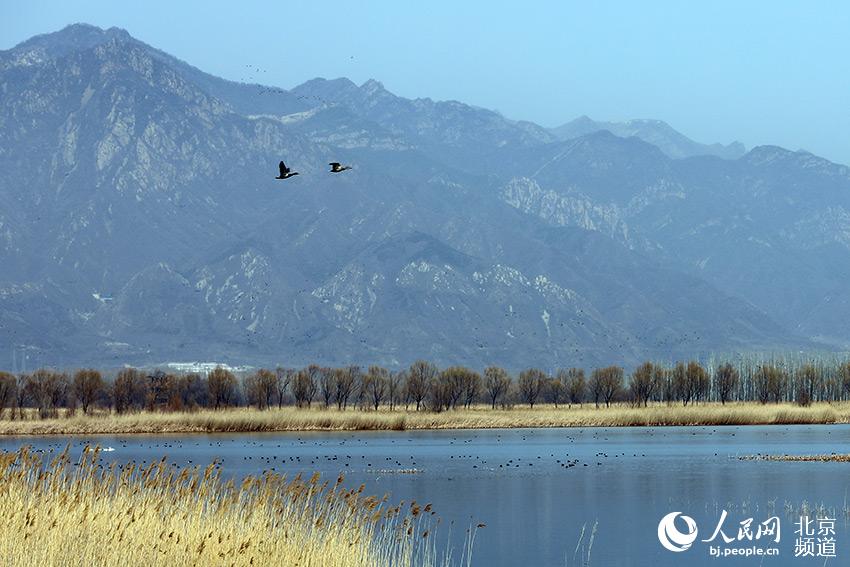 ���죬��������ҰѼ������ʪ�ع�԰����ˮ�̣�һȺȺ������ˮ����Ϸ��ʳ�������� ������ ��