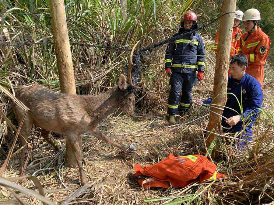 �ڸ���ƽ̶������һ����������÷��¹��������ɹ���ȡ�ƽ̶����֧�ӹ�ͼ