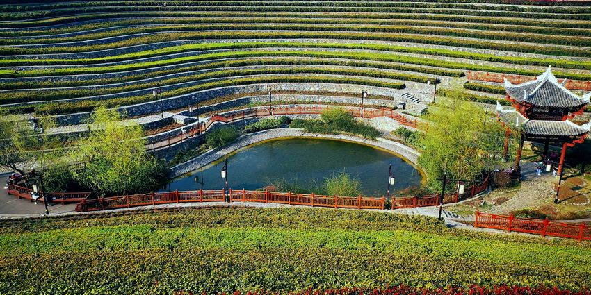 ���ݴ�����������������������ϵ�һö�����ġ�ָ�ơ����������