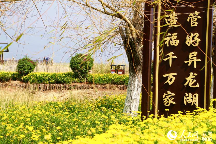 ������֮�� ������ �̺���