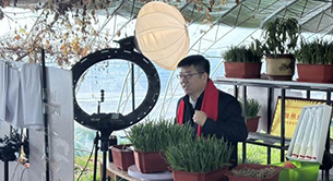 大棚里架起“直播间”